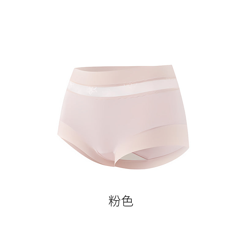 Boxed Modal High Waisted  Briefs (5 colors）